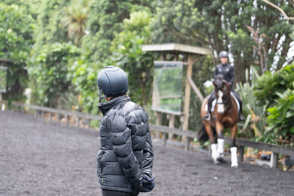 how to get started with dressage